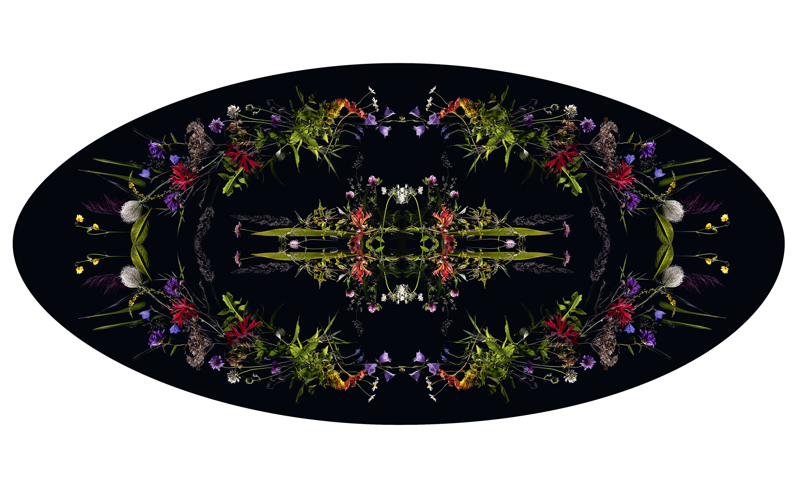 Saaremaa riigigümnaasiumi kunstikonkursi võitjad