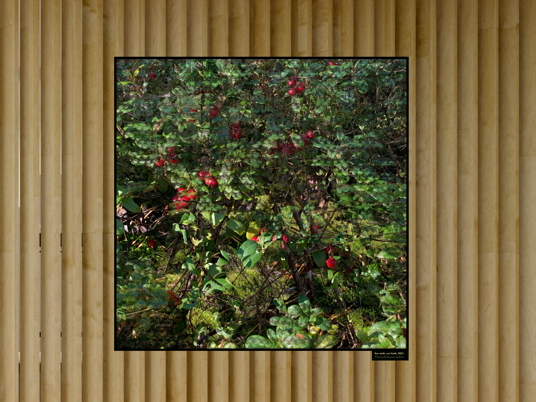 II koht „Kes otsib, see leiab“. Autor Maret Sarapu 