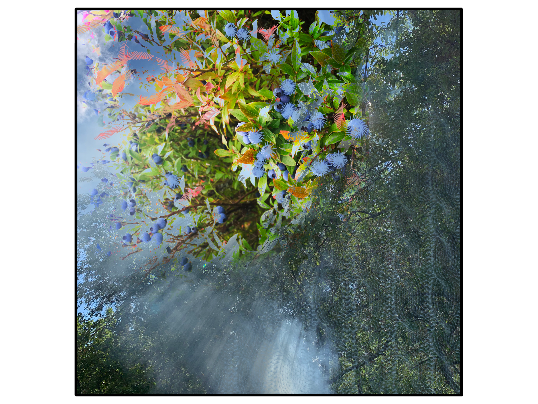 II koht „Kes otsib, see leiab“. Autor Maret Sarapu 