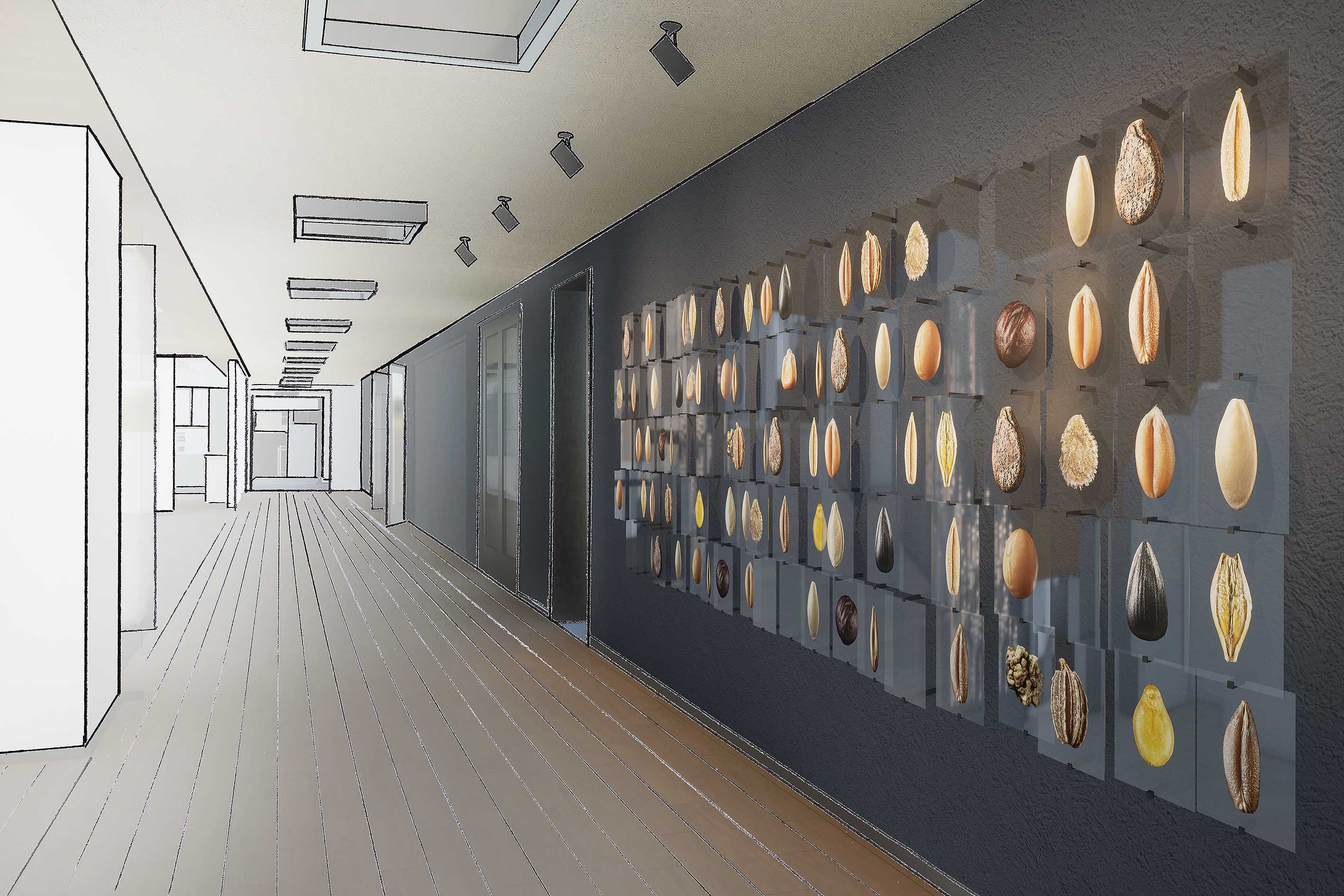 Karel Koplimets "Luubi all"